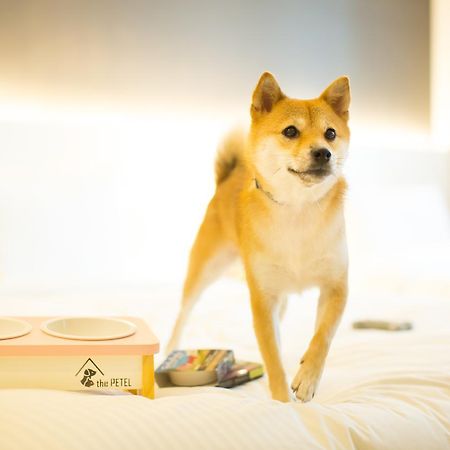 The Petel Premium Suite Busan Dış mekan fotoğraf