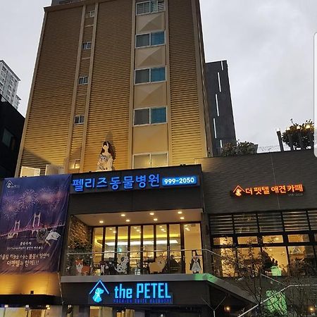 The Petel Premium Suite Busan Dış mekan fotoğraf