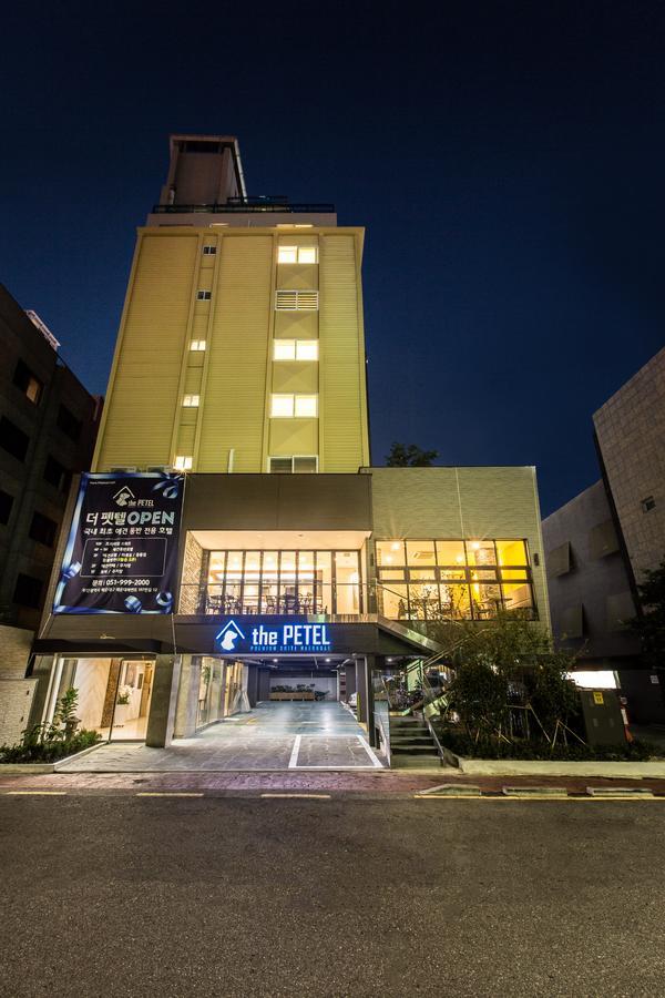 The Petel Premium Suite Busan Dış mekan fotoğraf