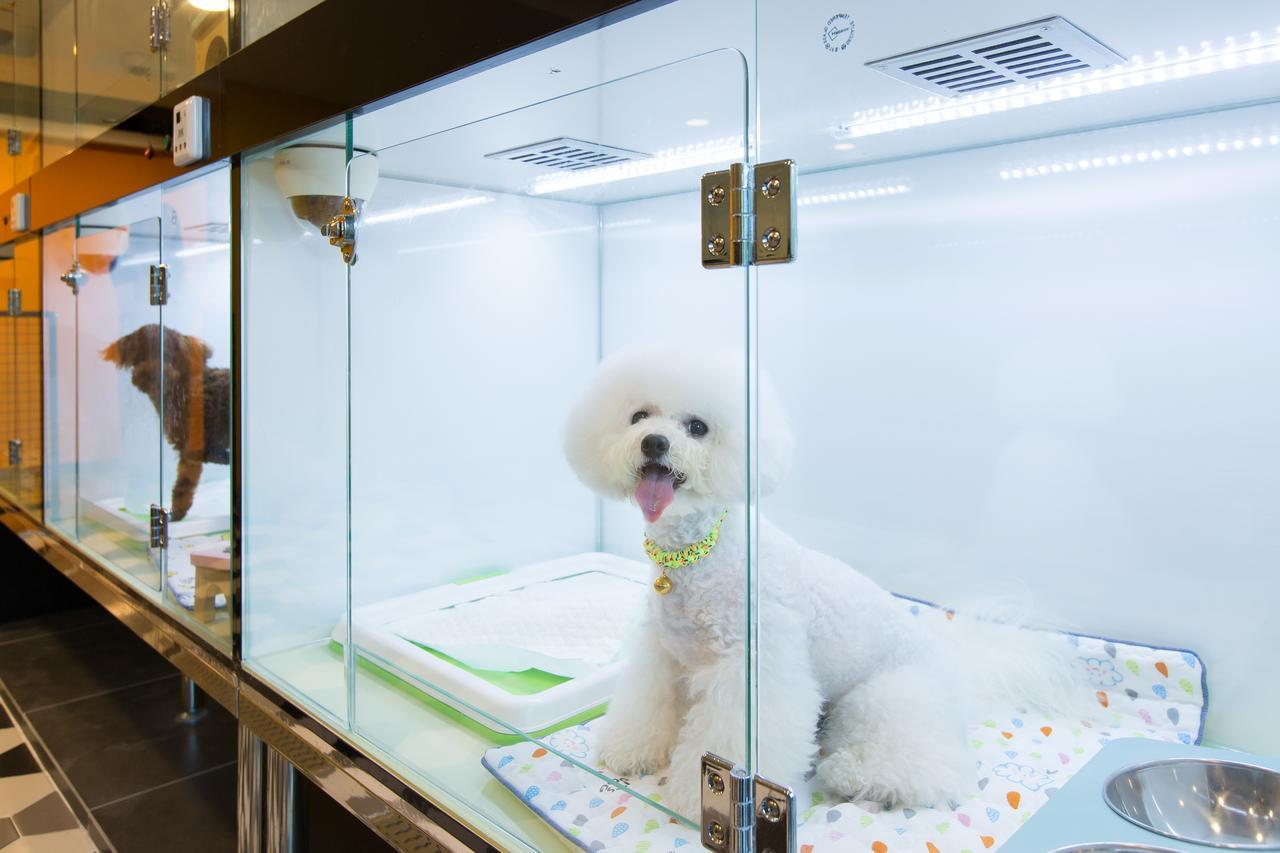 The Petel Premium Suite Busan Dış mekan fotoğraf