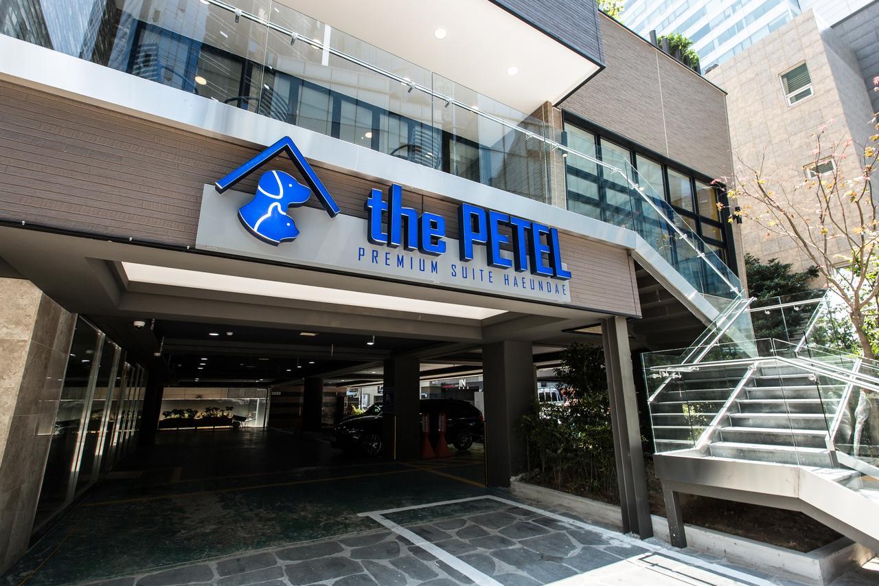 The Petel Premium Suite Busan Dış mekan fotoğraf