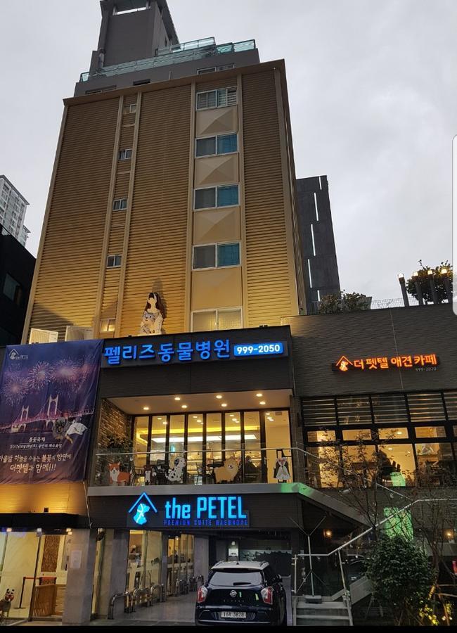 The Petel Premium Suite Busan Dış mekan fotoğraf
